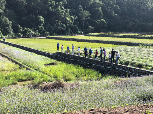 跟著三貓探索人與自然的關係　林保署新竹分署邀您一同「走進里山趣」！