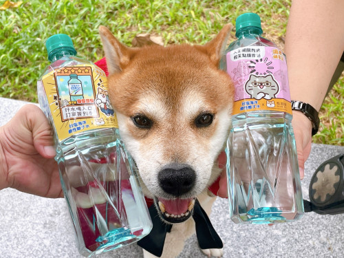 喝水補「柴」氣！台塩海洋鹼性離子水×柴語錄超萌開賣