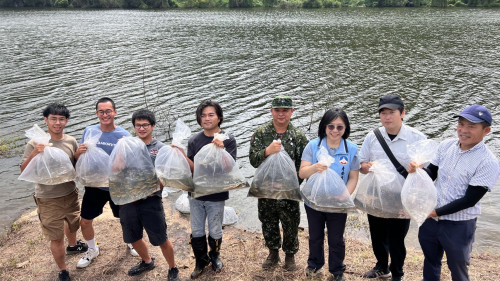 守護金門珍貴原生淡水魚類  縣府野放大鱗梅氏鯿