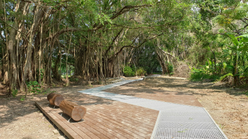 《隆田森林散策》導覽報名中！生態×人文雙導覽 帶你玩轉官田綠森活