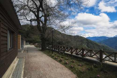 林保署新竹分署轄內森林遊樂區及烏來台車　自11/14日14時起休園及停駛