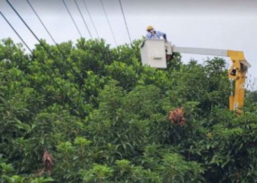 鳳凰颱持續減弱  台電新營區處：仍守護供電