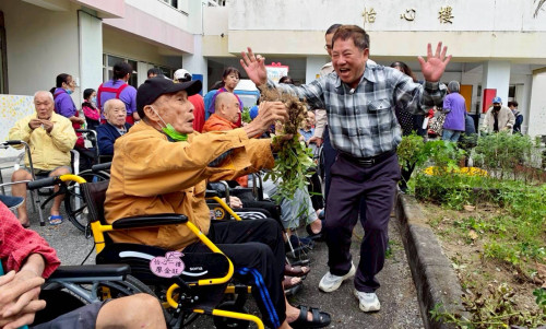 花蓮榮家老幼同樂採花生 暖心共度農趣時光