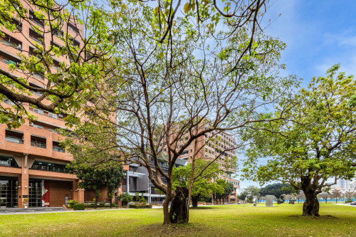 成大獲2026 THE跨領域科學排名評比第35 全台第1