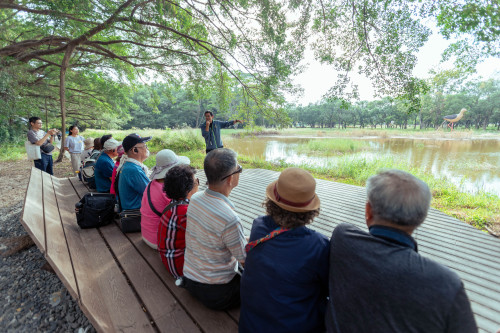 大隆田導覽從濕地到老街 活動讓生態園區更有溫度