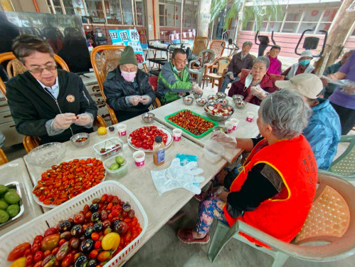 屏東榮家懷舊好滋味-住民採番茄趣