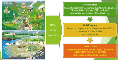 成大領軍跨國AI星地整合 建構生物多樣性碳權驗證