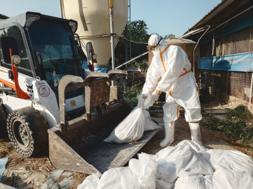 南市蛋雞場確診禽流感！動保處：已撲殺逾萬隻杜絕疫病傳播