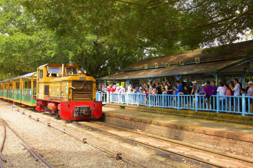 台糖烏樹林推蘭展期間限定五分車 全日14班次 10分鐘直達會場