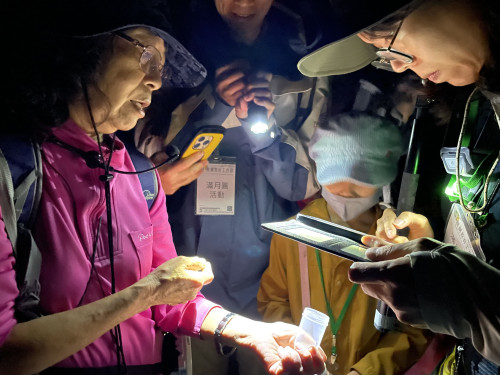 森林夜色微光再現　林保署新竹分署滿月圓螢火蟲季將開跑