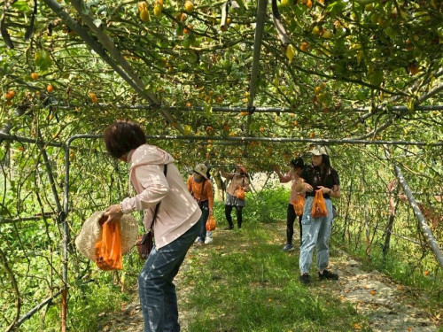 春遊臺南正當時！螢光花泉季漫遊之旅3/31搶先報名