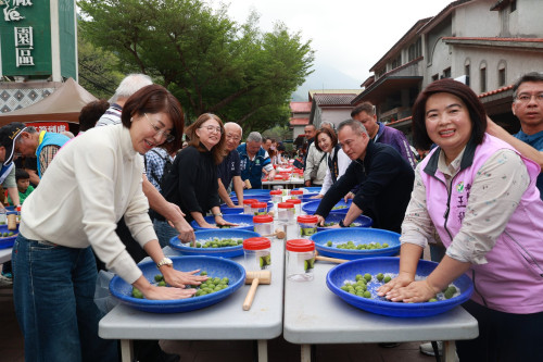 南投梅子節活動  青梅DIY體驗
