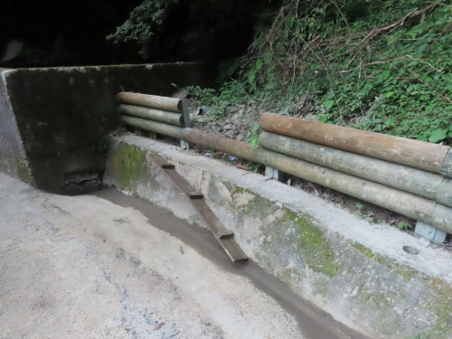 雲霧森林裡的生態巧思！　拉拉山林道治理打造客製化動物V.I.P.通道