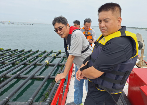 臺南推動蚵棚與保麗龍浮具改善 關心牡蠣養殖產業 