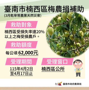 楠西梅乾旱災損即日現金救助申請 籲受災農戶儘速提出