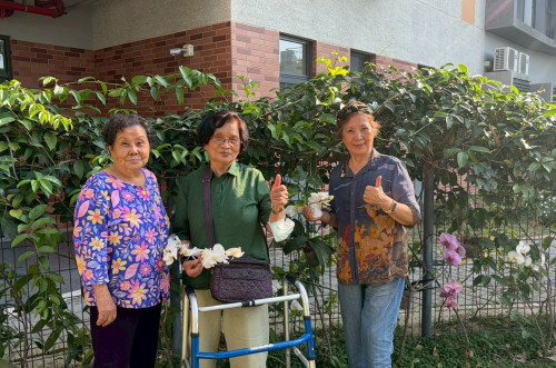 芳美蘭園花開暖贈臺南榮家   花香伴家區長輩