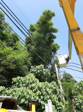 紅霞颱發布海警  新營台電全力戒備 籲畜牧養殖業落實用電設備檢查
