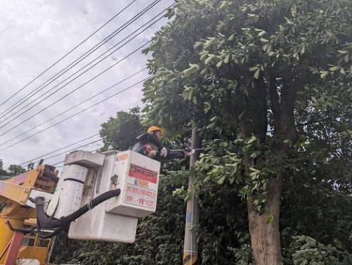 白海豚颱逼近  新營台電全力戒備！民眾與業者落實用電設備檢查