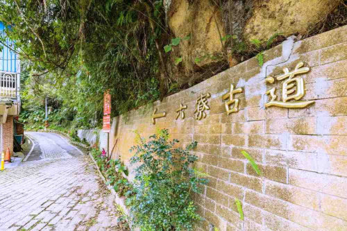 漫遊桃竹苗在地風情！　2026暑期遊程11條深度遊程體驗在地客庄與農村魅力