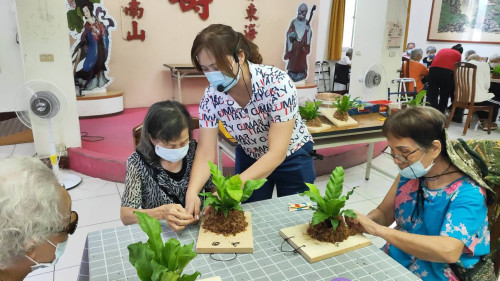 長輩巧手打造山蘇釘板植物「蕨的很輕鬆」綠意上牆