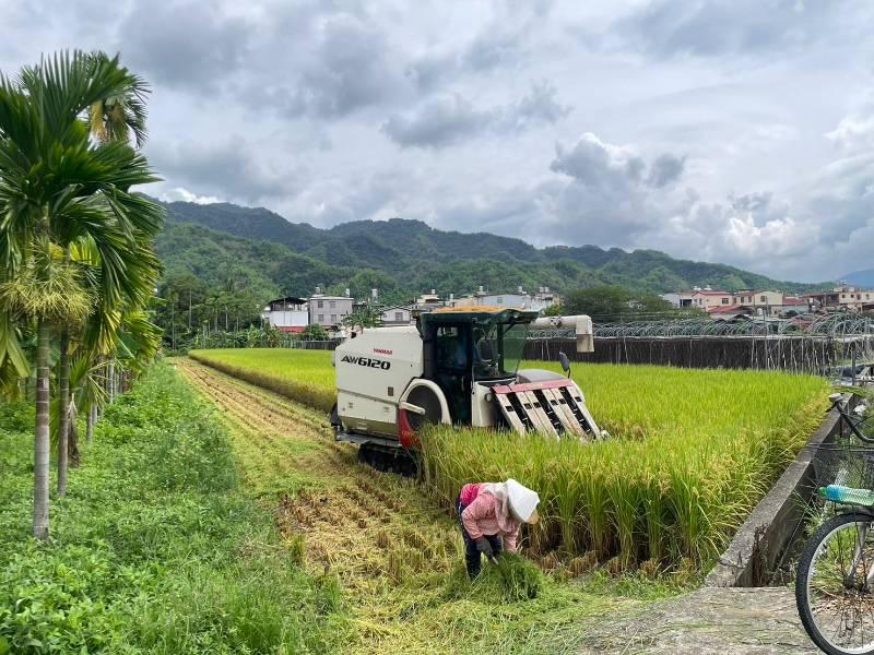 高市農業局提醒農民：鋒面來襲，防範勝於救災，提前做好搶收安全措施！