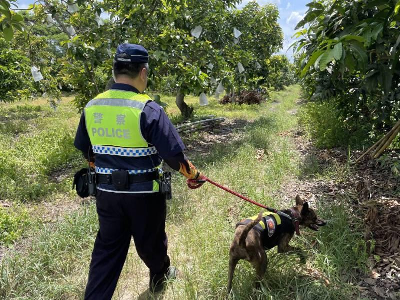 善警攜「霸王」警犬護果 守護大內