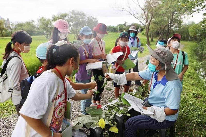 2023新北濕地夏令營 給孩子來趟水水的奇幻冒險吧