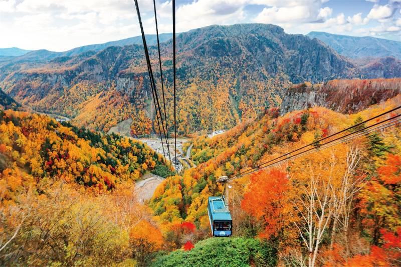 跟上全球「楓旅遊」腳步 易飛網夏季旅展祭百選秋遊行程