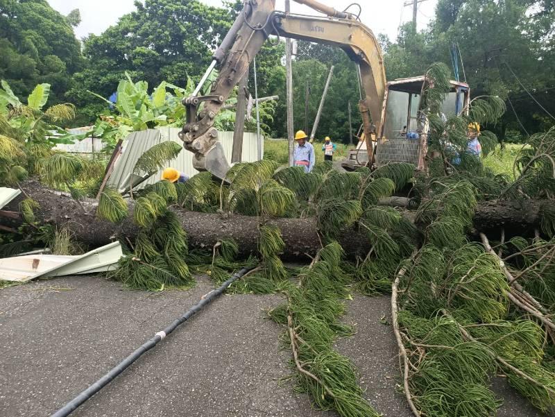 小犬颱來襲 台電新營區處持續動員力拼今全數復電