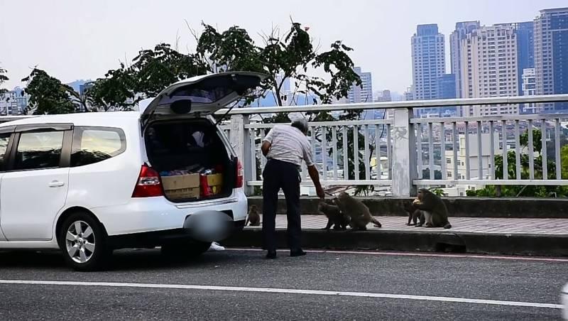 成功檢舉餵食高雄壽山區域獼猴 民眾獲農業局頒發獎金