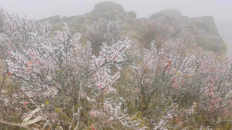 冷空氣發威！ 玉山北峰結霧淞合歡山下冰霰