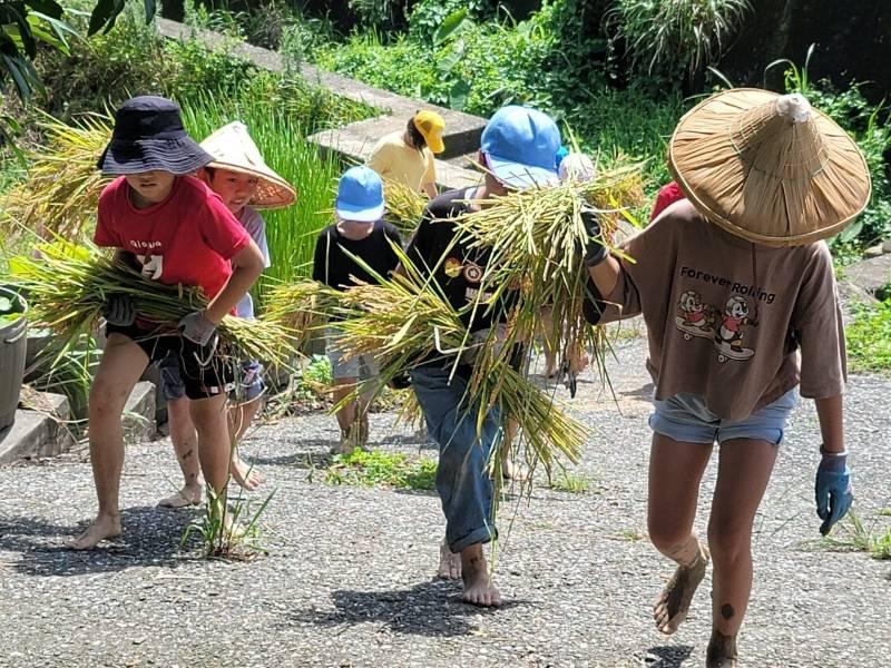 新北力推SDGs 食農教育培養綠金人才