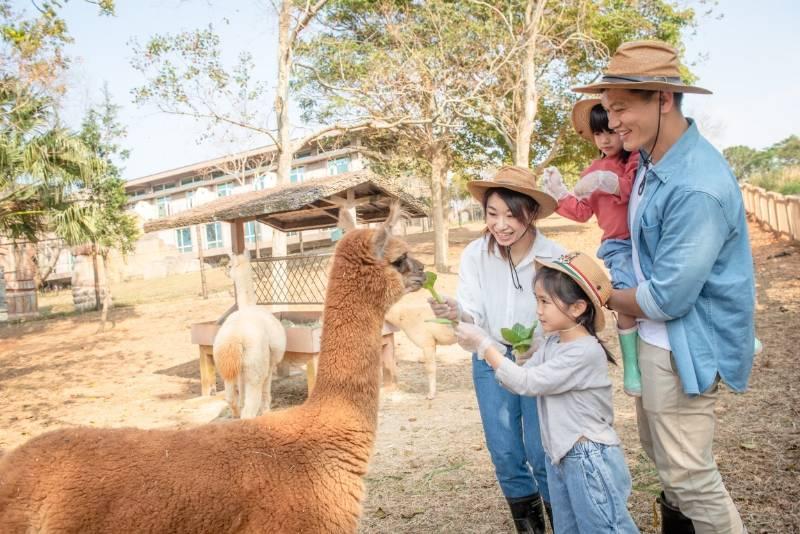 全台小學童有福了!　抗寒暖心招待六福莊入住不加價