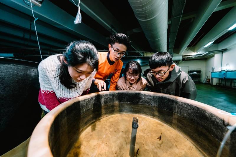 走入屏東海生館後場體驗生命悸動 超萌上百顆小丑魚卵小眼閃爍吸睛