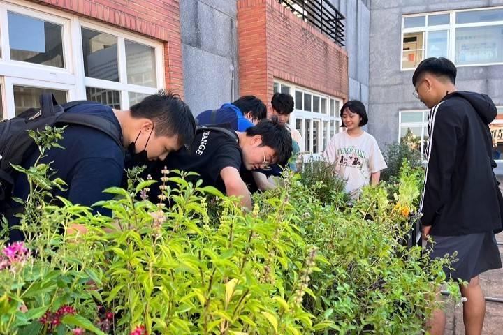 獲補助打造「低碳空中花園　華大學生化身農友「拈花惹草」細心照料同樂