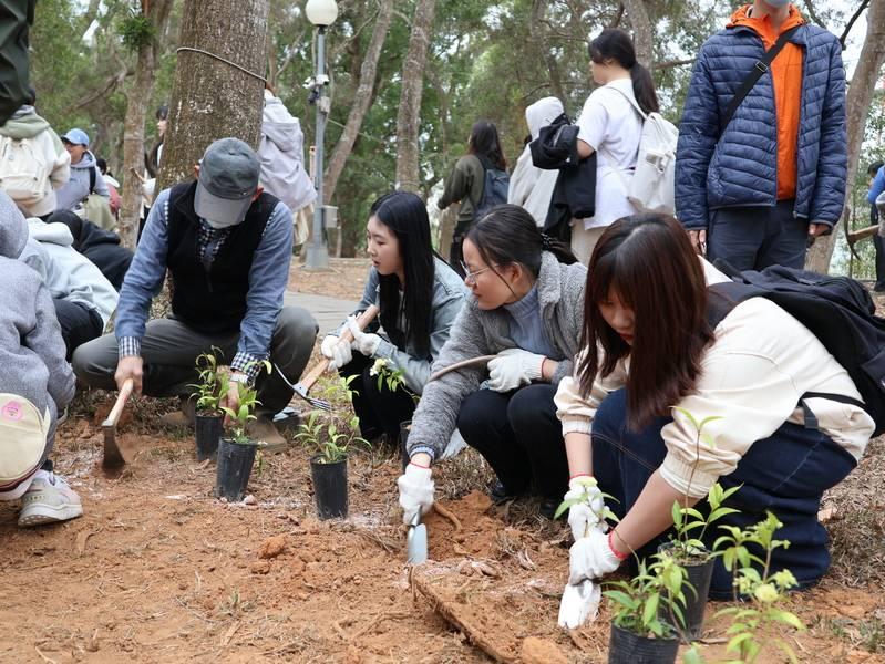 全台第一所大學樹銀行「Tree Bank」 東海「樹銀行」邀民眾為自己種下一棵樹 