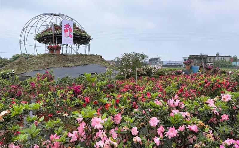 新北春遊新秘境「水水田莊」賞萬金杜鵑之美