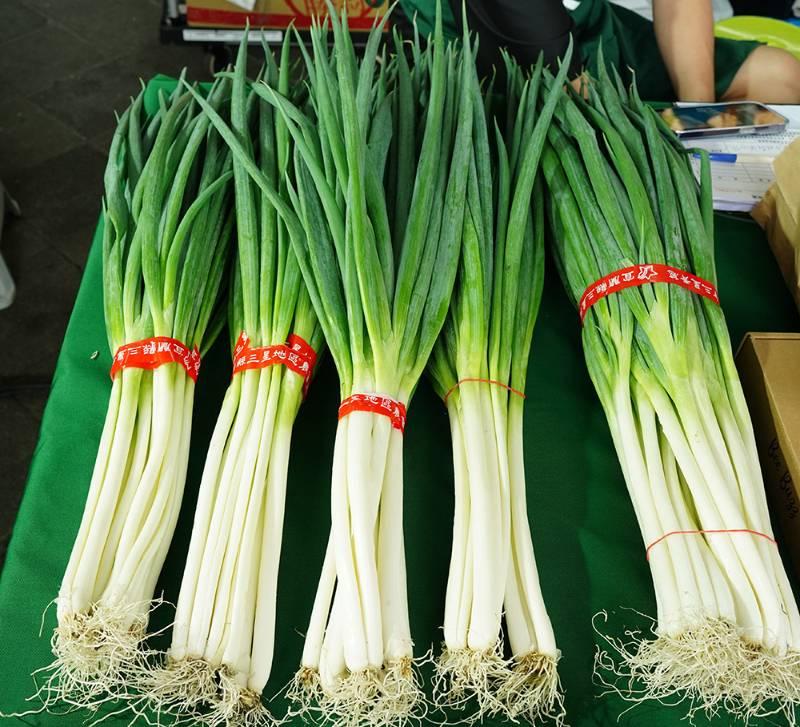 臺北花博農民市集 4/13-4/14蔥滿理想宜蘭縣農特產品展售活動