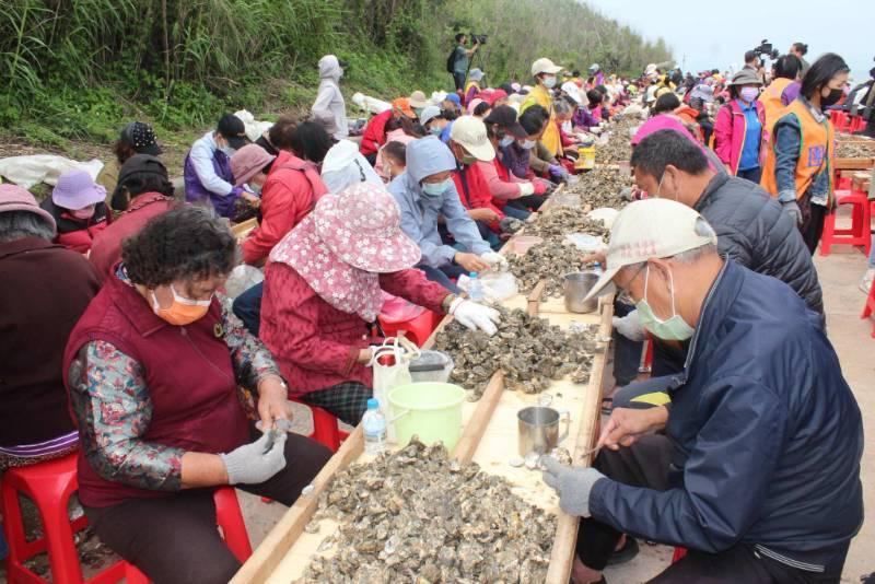 金寧石蚵文化季千人剝蚵火熱搶鱻 4/27北山出海口海堤開拔體驗