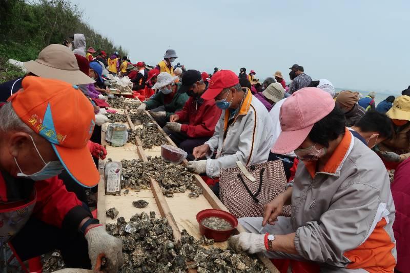 金寧鄉石蚵文化季千人剝蚵 4/27古寧頭北山海堤登場