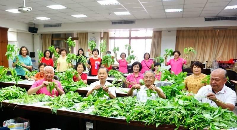 迎接端午穿木屐躦鯪鯉踩街活動  萬和宮志工今天挑揀250斤麻芛 