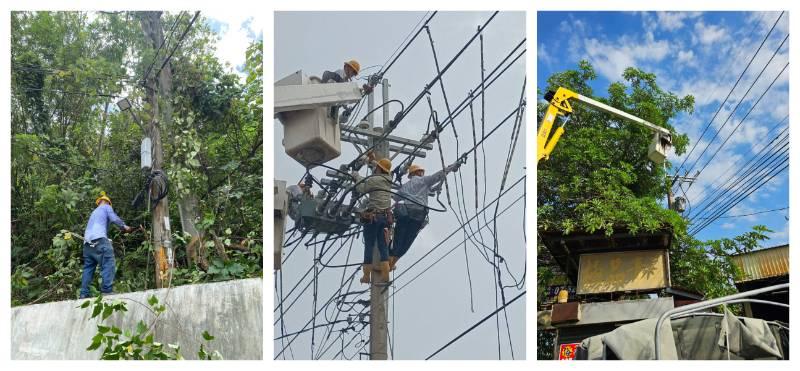 台電高雄、鳳山超前部署！面積超15座體育館，總動員修樹抗颱風