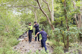 三重8旬失智嬤獨自搭車至新竹市　迷途誤入山區走失終獲警消搜救送醫