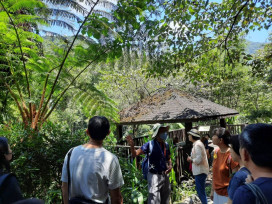 季節限定！　內洞、滿月圓、東眼山國家森林遊樂區推出主題導覽活動