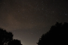 日間賞景夜裡觀星 玉管處邀您塔塔加觀星天地漫遊