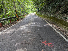 大鹿林道瀝青路面舖設作業進行交管　前往觀霧森林遊樂區請多留意!