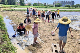 客家農業x鄉村風情　桃竹苗分署邀你楊梅客家「農家樂」永續旅遊趣!