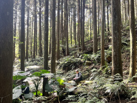 與您森林相繫　林保署新竹分署「森命之圈」耶誕手作輕旅報名趣