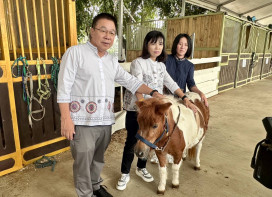 馬場慘遭浪浪攻擊，馬兒三死三傷，愛媽還嗆人，台南藍軍請市府祭鐵腕