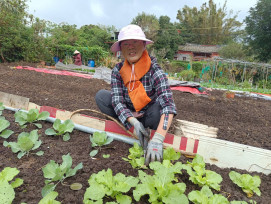 農業小白也能當都市農夫 新北4處市民農園開放承租 